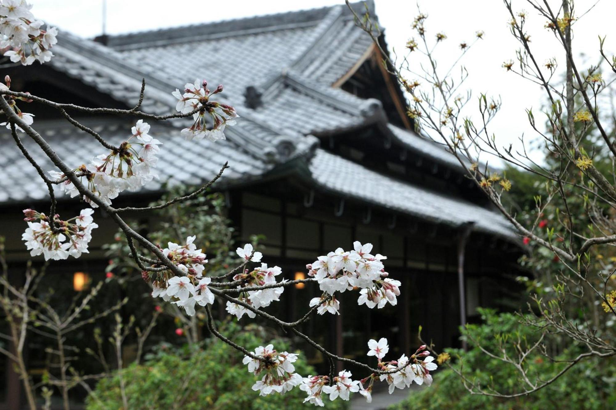 Shisui, A Luxury Collection Hotel, Nara Kültér fotó